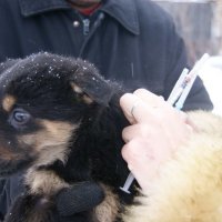 первый день в приюте :: фёдор 