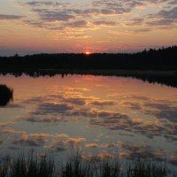 Белые ночи :: Александр Фищев