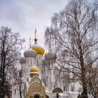 Зима в Новодевичем :: Григорий Карамянц