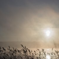Туман в Гагаузии :: Татьяна Жуковская