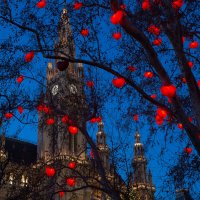 Рождество в Вене :: Dmitri Fadeev 