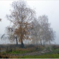 Осенний туман. :: Владимир Валов