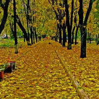 Уж осень, осенью дышала :: Владимир Максимов