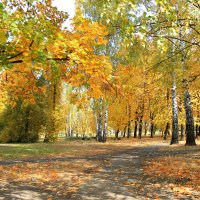 Осенний пейзаж :: Елена Кознова