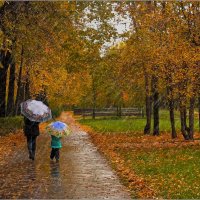 Осень,дождь,зонты... :: Виктор Колмогоров