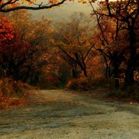 Дорога в осень :: Лилия Гиндулина