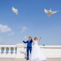 Свадьба Даши и Димы :: Евгения Шамкова