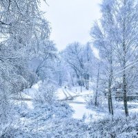 Зимняя сказка! :: Павел Данилевский