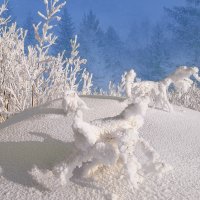 Снежные зверушки :: Влад 
