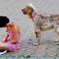 Девочка с собакой :: Сергей Боцвинов