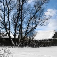 Снежная деревушка :: Александра Гоголева