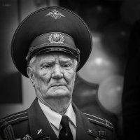 Подполковник Второй Мировой Войны :: Вячеслав Линьков