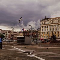 Владивосток - город сопок, мостов и туманов... :: Лилия Гиндулина