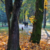 Осень в Атажукинском саду :: Каншоуби Хашев