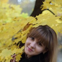 в жёлтых  красках осени :: Руслан Балтабаев