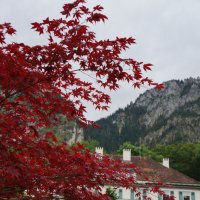 Краски Осени :: Алёна Савина