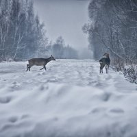 беглецы :: Ольга 