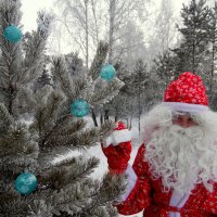 Новый год-это ёлка и Мороз. :: nadyasilyuk Вознюк