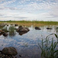 Отражения на Онежском озере :: Анна Богданова