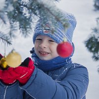 новогоднее настроение :: юлия 