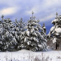 Любимое время года :: Аня 