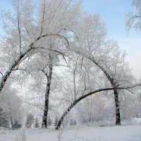 Снежная арка :: Владимир 