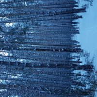 Зимний лес :: Tuchka Tuchka
