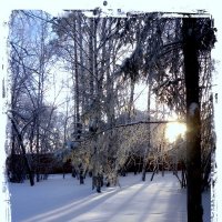 Зимняя прогулка :: Оля Дубровкина