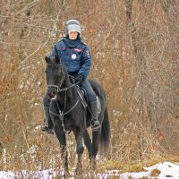 Всадница :: Александр Запылёнов