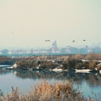 Пейзаж. :: Евгений Кузнецов