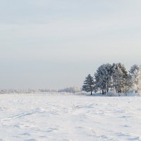 Серебро зимы :: Nadia Brusnikova