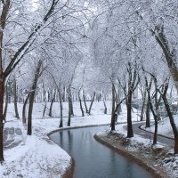 Зима в Ташкенте :: Рустам Шорахимов