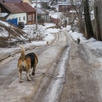 г.Касимов :: Сергей Безгубов 