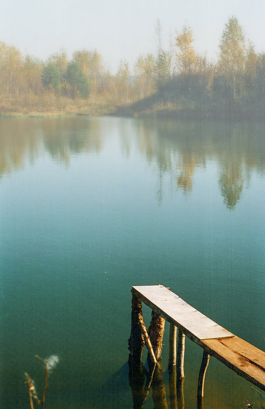 Утро у лесного озера. - Валерий Молоток