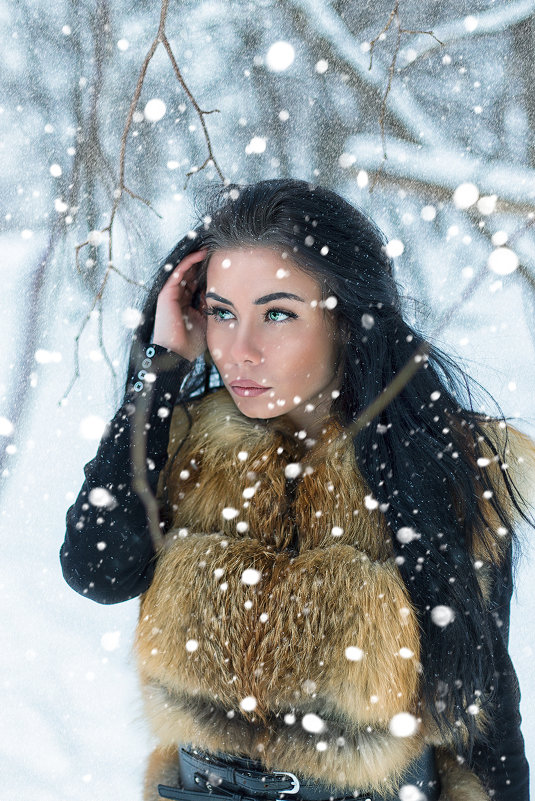 Winter time - Александр Смирнов