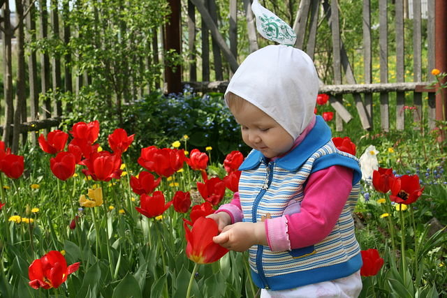 Что же там внутри? Сейчас посмотрим... - Ольга 