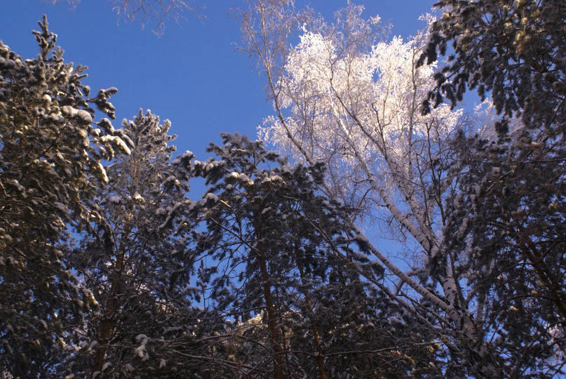 Небо - Кристина Зайцева