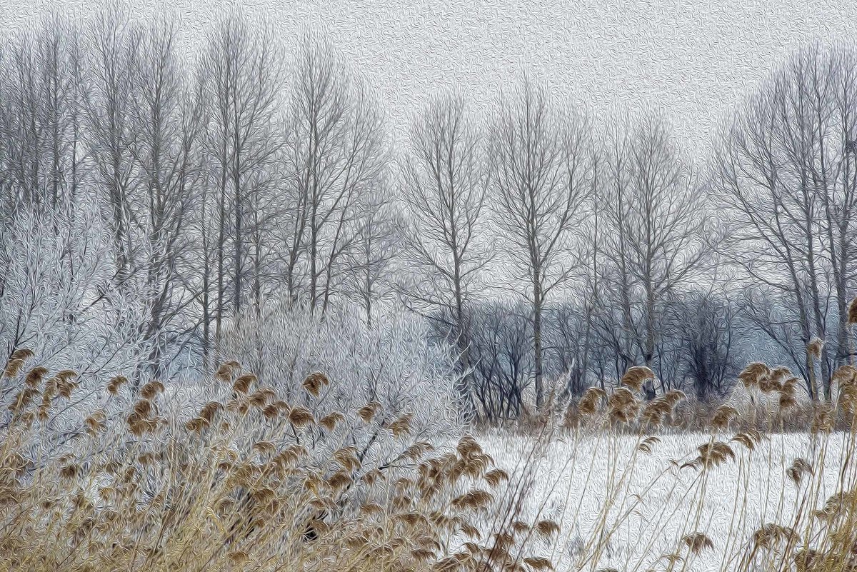 Зимний пейзаж - Виктор Алеветдинов