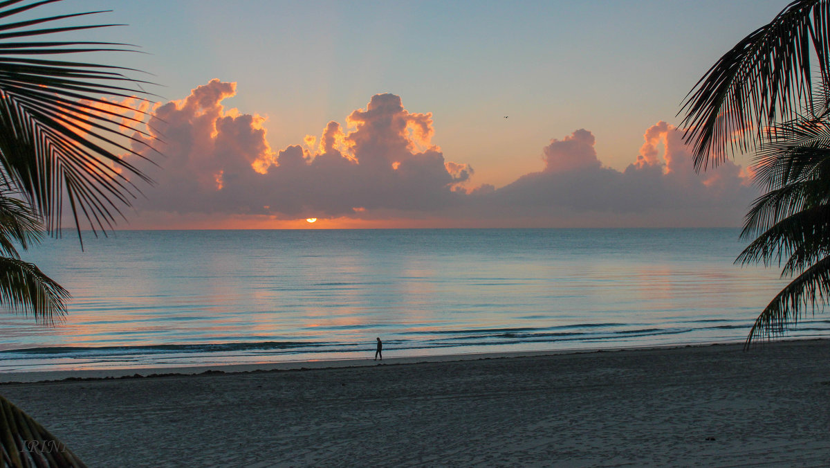 Florida. December. Sunrise. - Irini Pasi