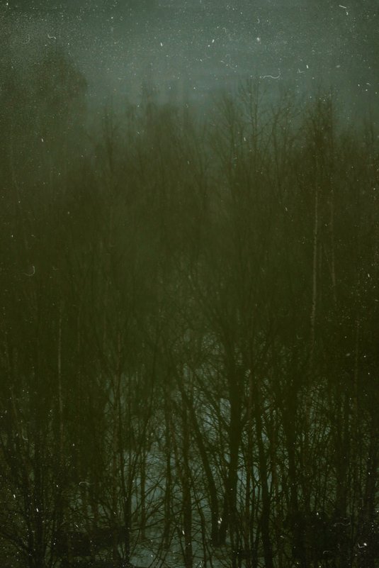 Fog and snow - Alёna L.
