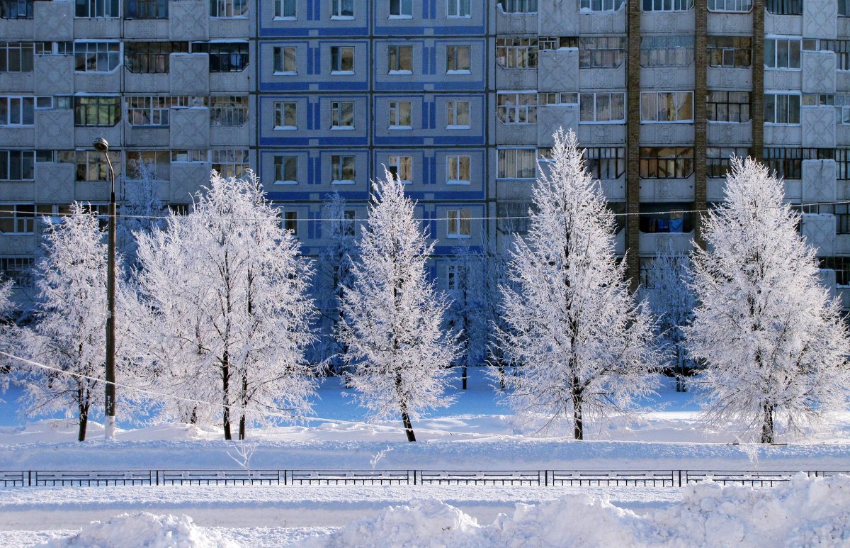 Городская зима - Илья Тимкин