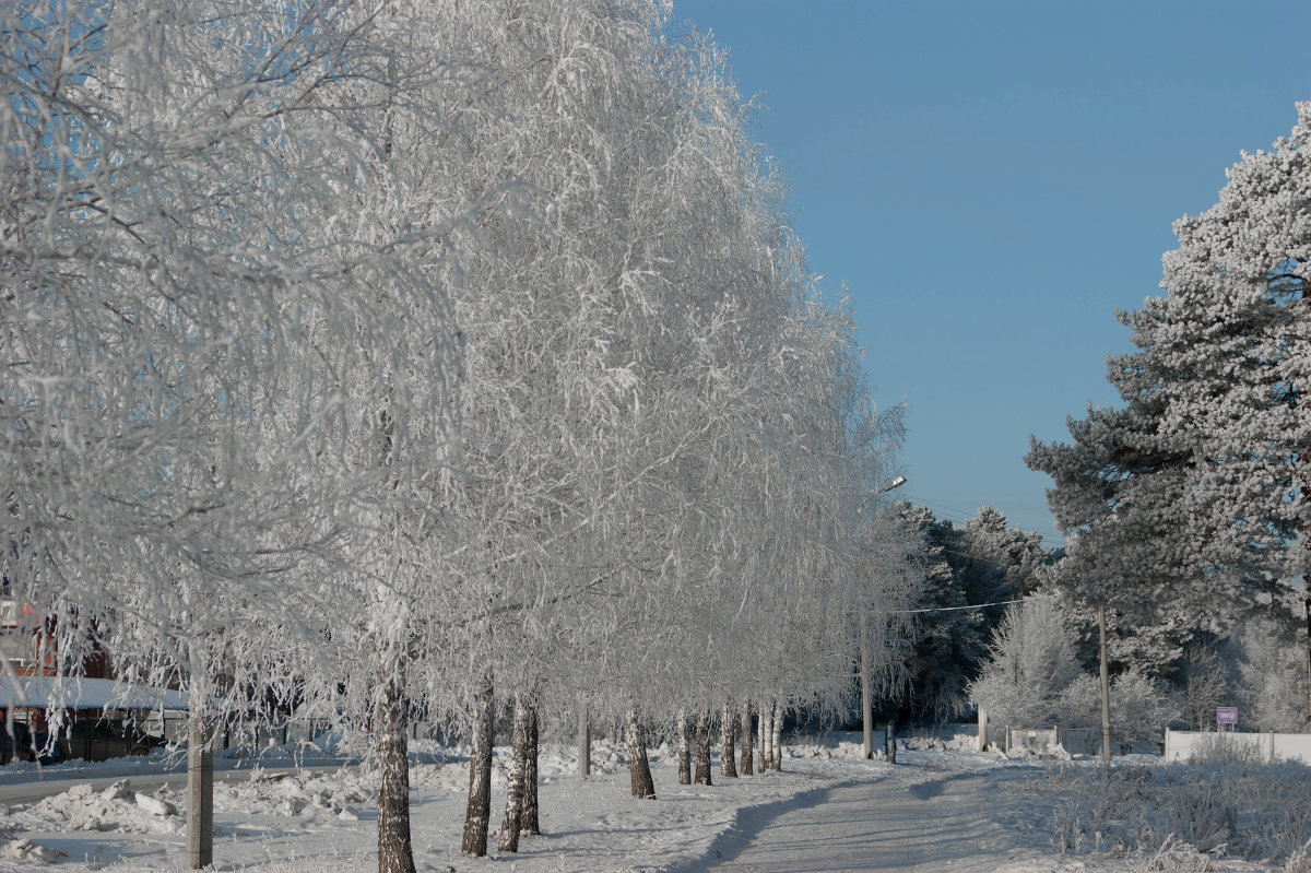Зима 2 - Олег Ганжа