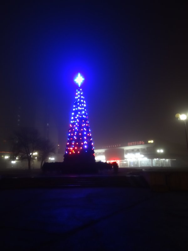 новогодняя елка в тумане - Dmitry Kovshick