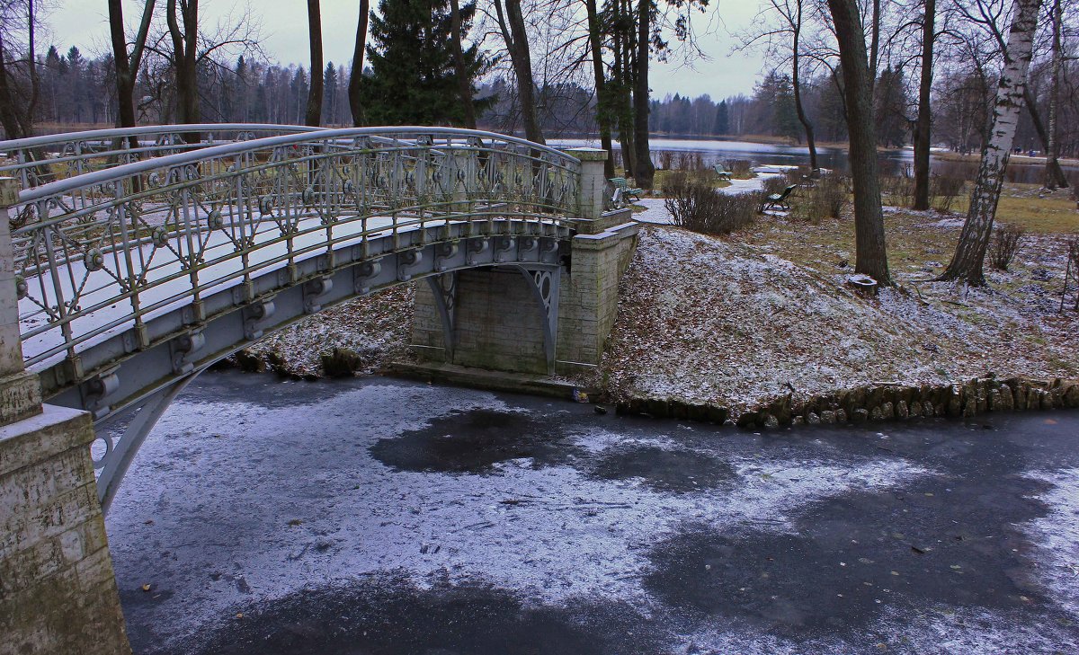 В Гатчинском Парке. - Александр Лейкум