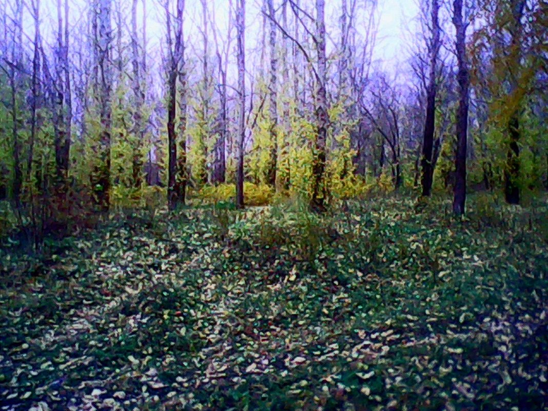 Осень - Денис Геранькин