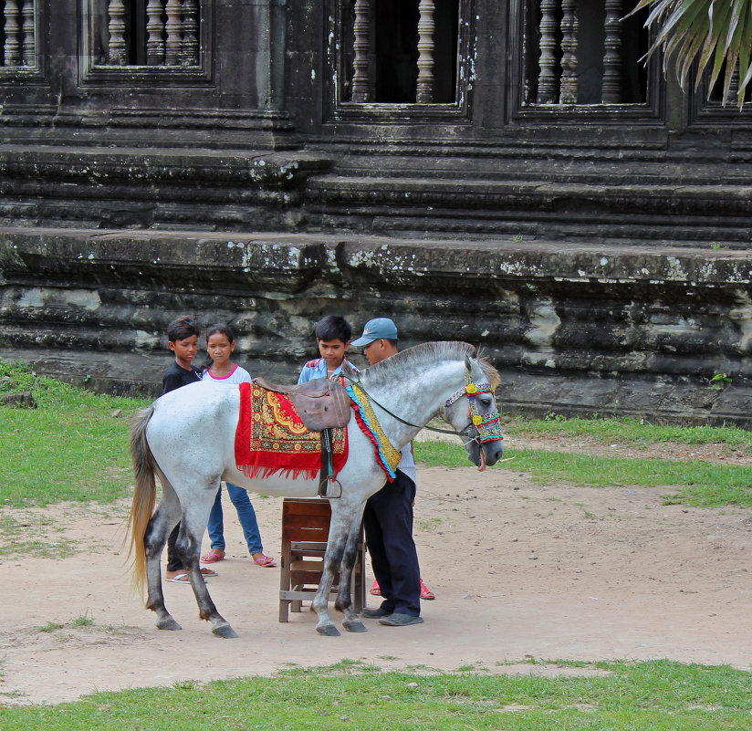 Камбоджа. Ребята и пони - Владимир Шибинский