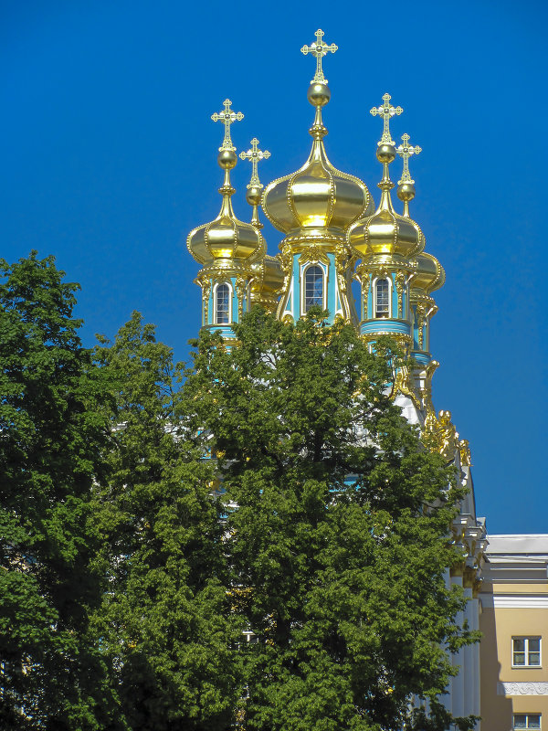 Золотые купола. Царское село - evgeny ryazanov