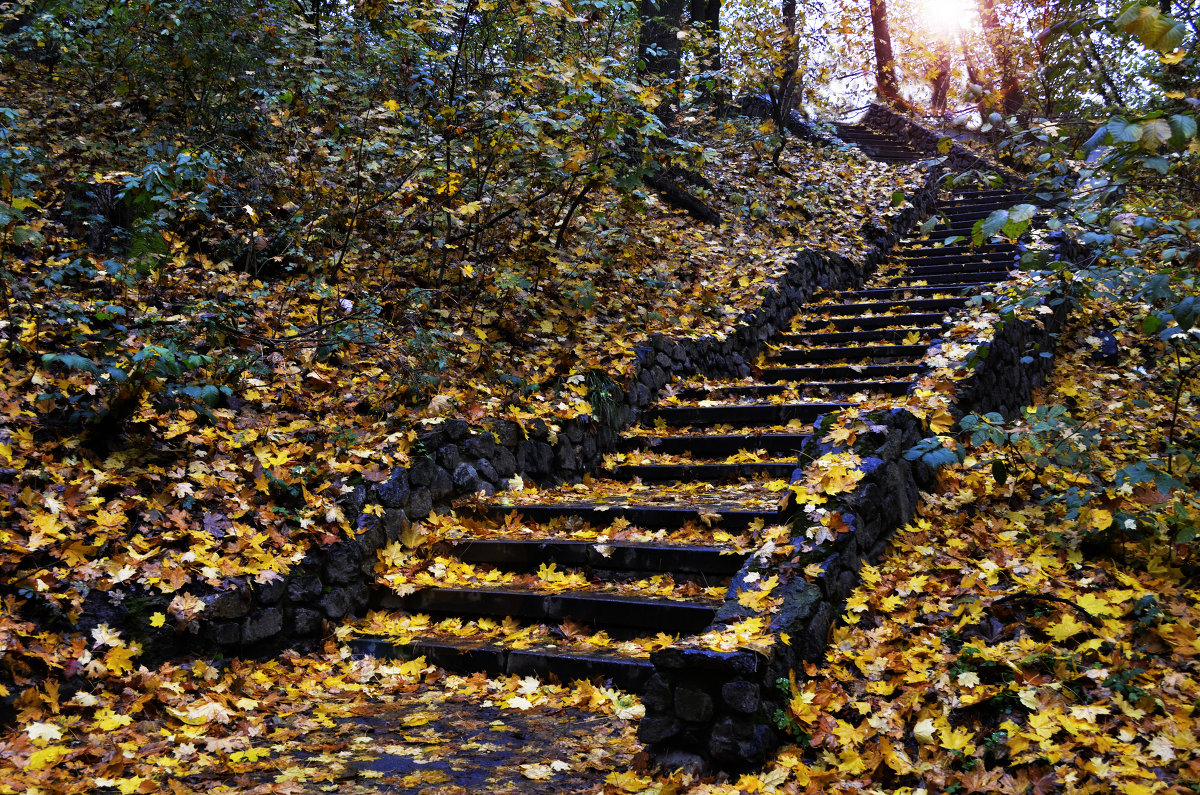 Лестница в осень - Дарина 