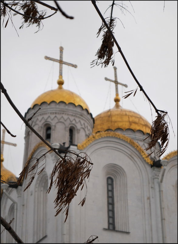 19 - Владимир Петров