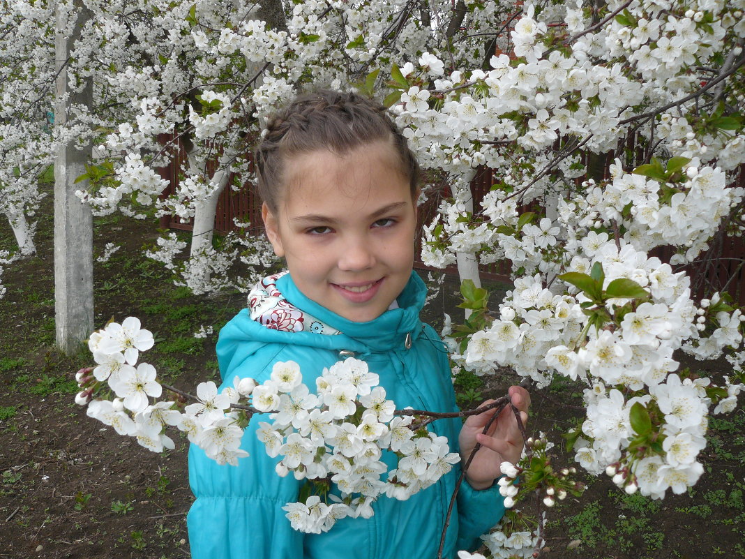 Весна вишни цветут - Владимир 